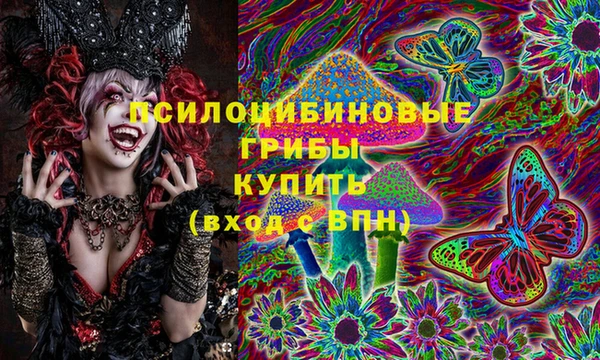 не бодяженный Алексин