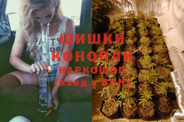 трава Алзамай