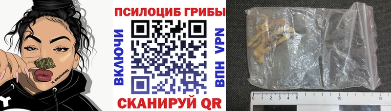 Псилоцибиновые грибы Psilocybe  Арамиль 